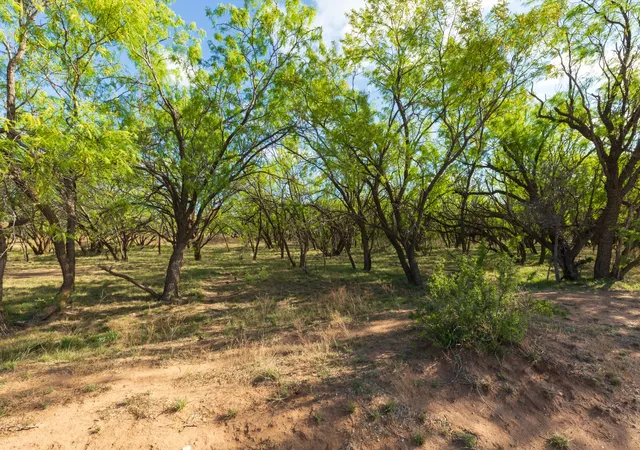 Homes for sale in Haskell, TX | Tbd Farm Market 600 Hwy, Haskell, TX 79521 | MLS# 21273802