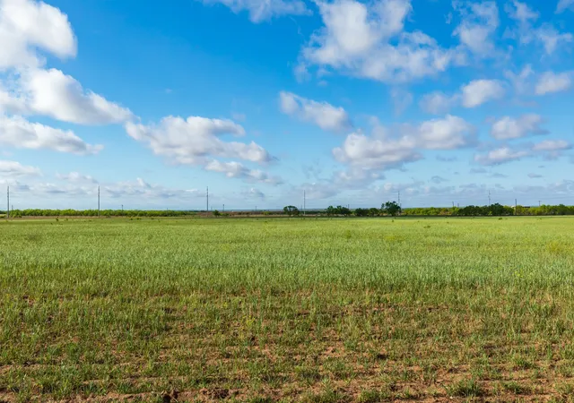 Homes for sale in Haskell, TX | Tbd Farm Market 600 Hwy, Haskell, TX 79521 | MLS# 21273802
