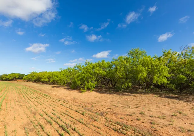 Homes for sale in Haskell, TX | Tbd Farm Market 600 Hwy, Haskell, TX 79521 | MLS# 21273802