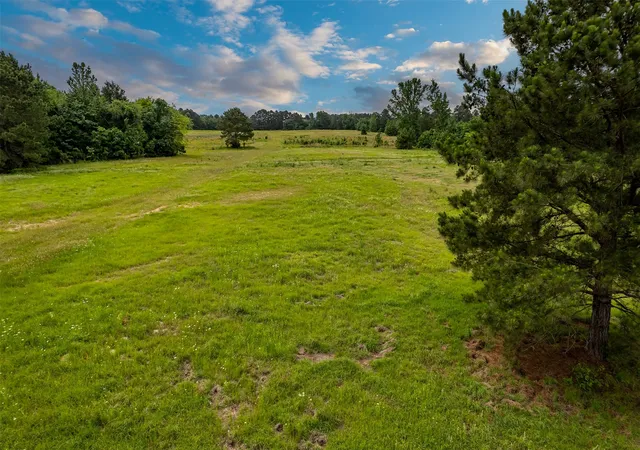 Homes for sale in Winona, TX | 0 Fm 16, Winona, TX 75792 | MLS# 21276761