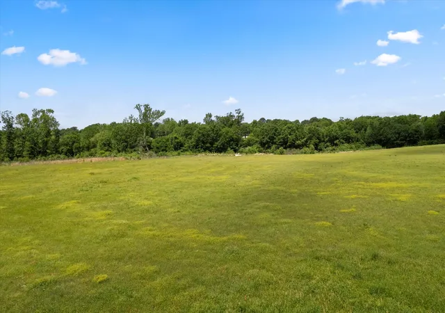 Homes for sale in Pittsburg, TX | Lot 01 County Rd 1309, Pittsburg, TX 75686 | MLS# 21277377