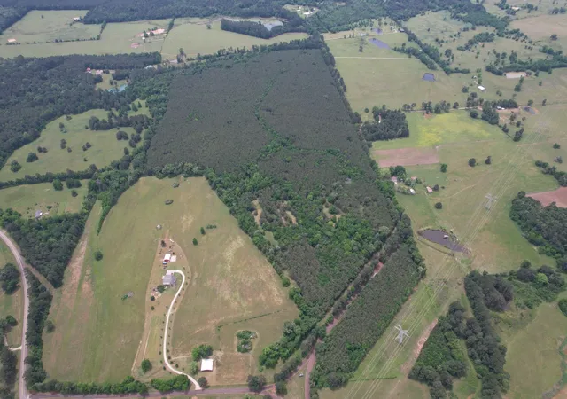 Homes for sale in Laneville, TX | Tbd-A County Road 3163, Laneville, TX 75667 | MLS# 21277604