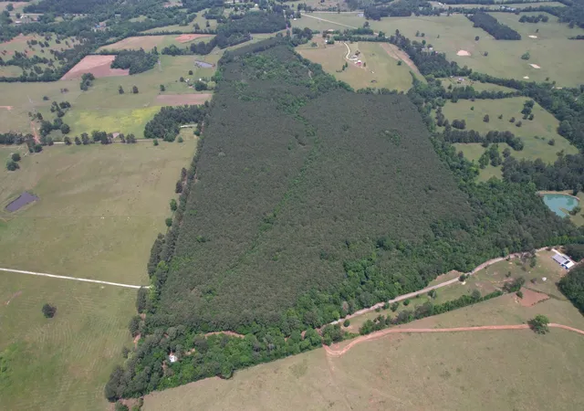 Homes for sale in Laneville, TX | Tbd-A County Road 3163, Laneville, TX 75667 | MLS# 21277604