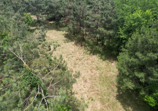 Homes for sale in Laneville, TX | Tbd A County Road 3163, Laneville, TX 75667 | MLS# 21277604