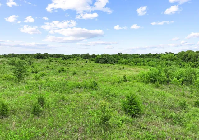 Photo 1 of Land for sale at 3179 County Road 22900, Paris, TX 75460 | MLS# 21277729 | Listing updated on 2026-08-18