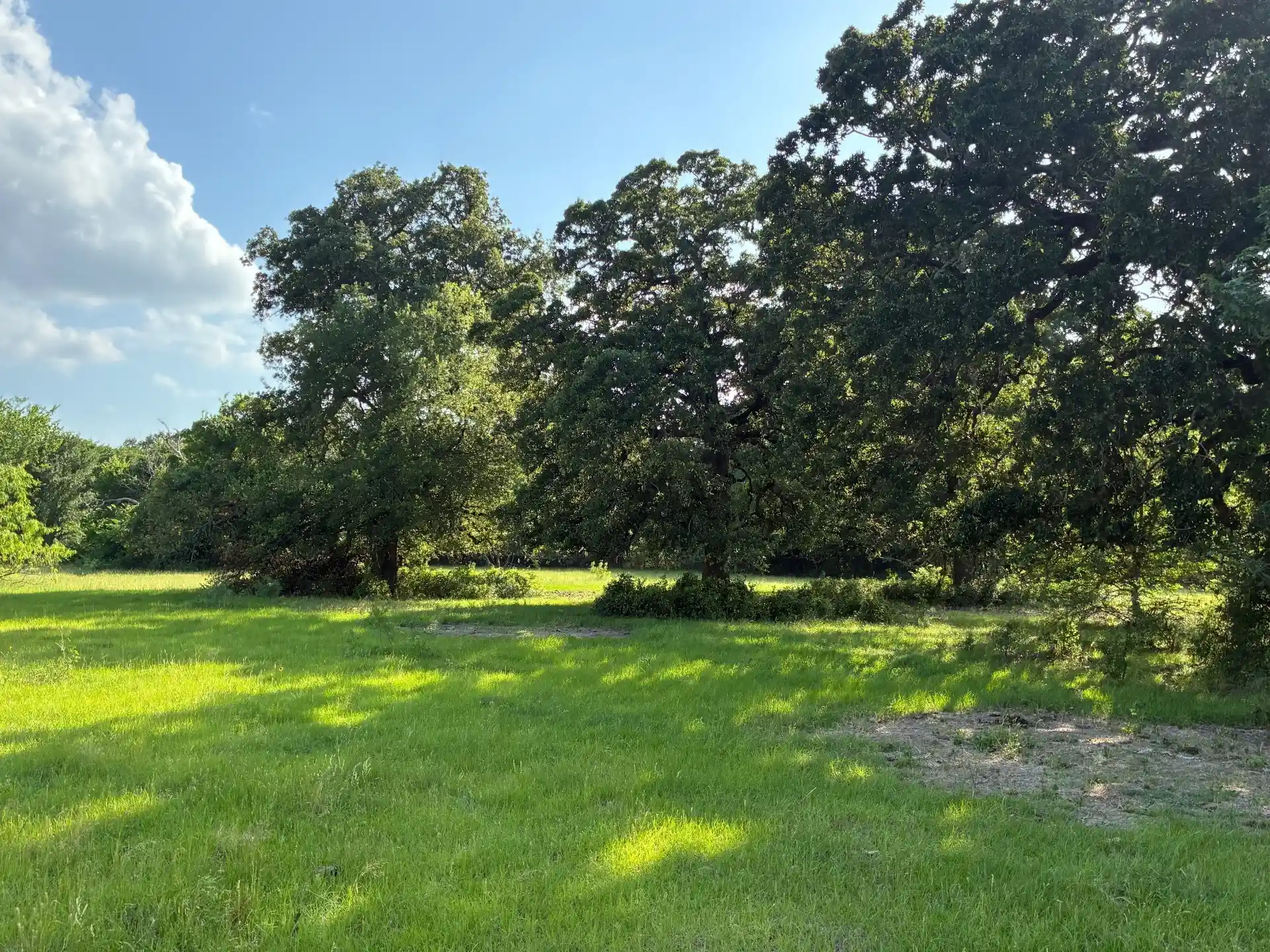 Photo 1 of Land for sale at Tbd County Road 1128, Streetman, TX 75859 | MLS# 21277820 | Listing updated on 2026-05-22