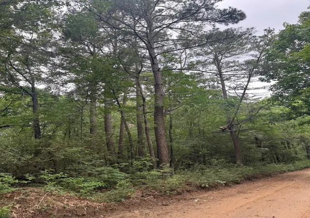 2nd image of Tbd County Road 4679, Tenaha, TX 75974 | MLS# 21278414