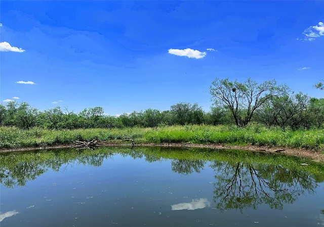 Homes for sale in Anson, TX | Tbd (west Tract) County Road 356, Anson, TX 79501 | MLS# 21277748