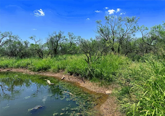 Homes for sale in Anson, TX | Tbd (west Tract) County Road 356, Anson, TX 79501 | MLS# 21277748