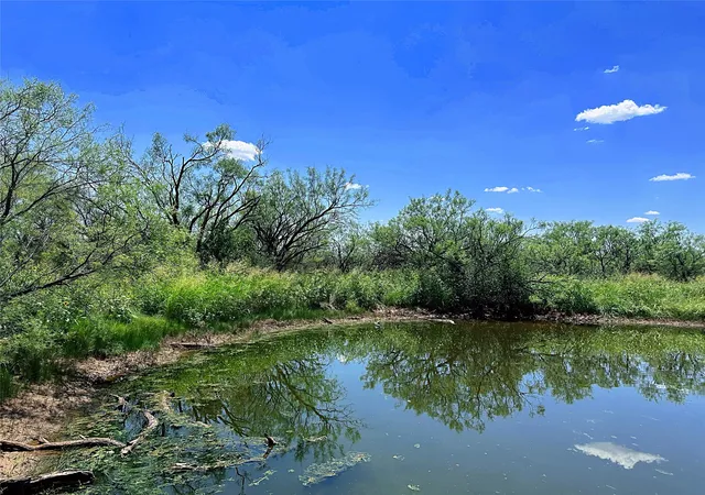 Homes for sale in Anson, TX | Tbd (West Tract) County Road 356, Anson, TX 79501 | MLS# 21277748
