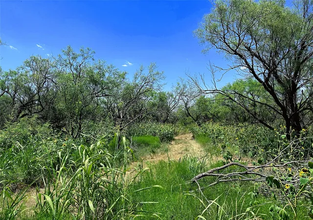 Homes for sale in Anson, TX | Tbd (West Tract) County Road 356, Anson, TX 79501 | MLS# 21277748