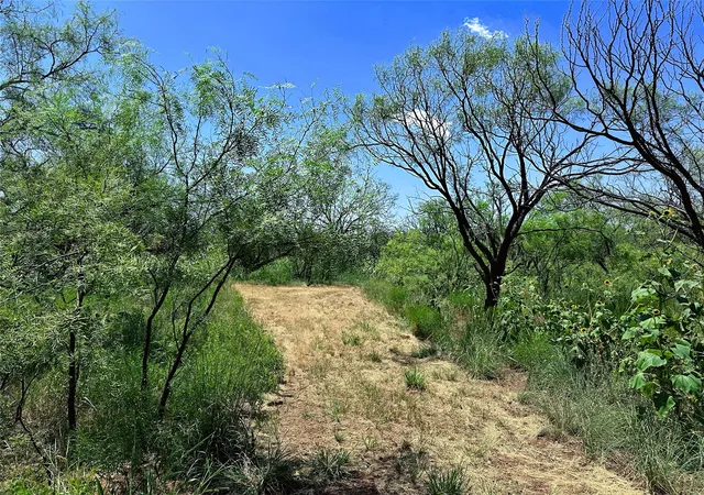 Homes for sale in Anson, TX | Tbd (east Tract) County Road 356, Anson, TX 79501 | MLS# 21277686