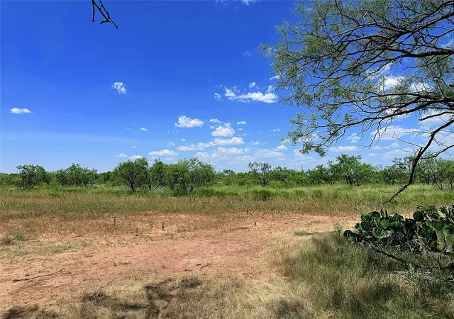 Homes for sale in Anson, TX | Tbd (East Tract) County Road 356, Anson, TX 79501 | MLS# 21277686