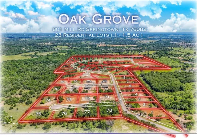 Homes for sale in Springtown, TX | 181 Oak Grove Wy, Springtown, TX 76082 | MLS# 21278815