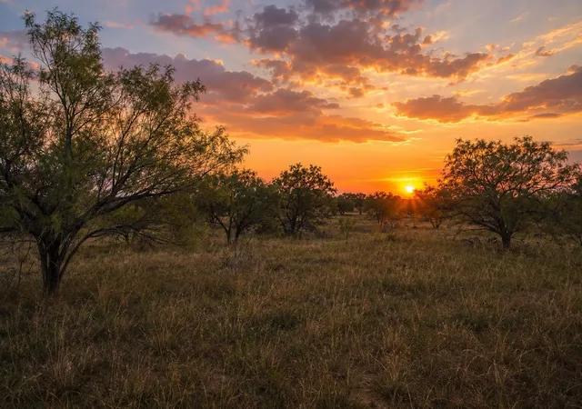 Land for sale at Tbd 13.345 Acres Cr 107, Abilene, TX 79601 | MLS# 21279809