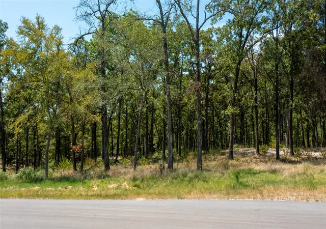 Photo 2 of Land for sale at 7321 Ranch Oaks Trl, Eustace, TX 75124 | MLS# 21259108 | Listing updated on 2026-07-22