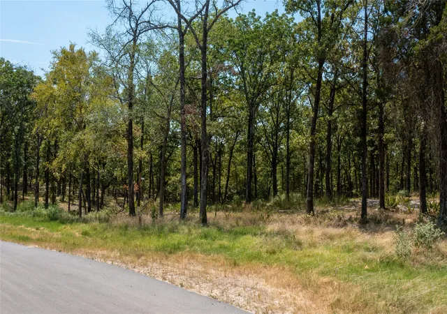 Photo 4 of Land for sale at 7321 Ranch Oaks Trl, Eustace, TX 75124 | MLS# 21259108 | Listing updated on 2026-07-22
