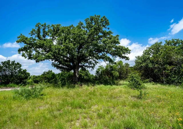 Photo 1 of Land for sale at Tbd Fm 203, Glen Rose, TX 76043 | MLS# 21279930 | Listing updated on 2026-08-31
