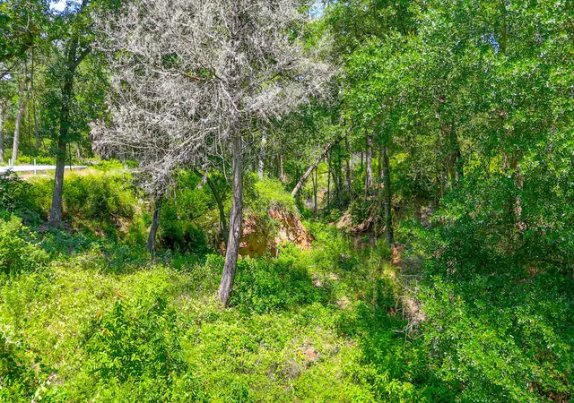 Photo 3 of Land for sale at Lot 141 Shenandoah Dr, Streetman, TX 75859 | MLS# 21277309 | Listing updated on 2026-07-10