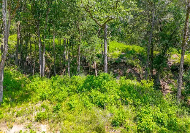 Photo 4 of Land for sale at Lot 141 Shenandoah Dr, Streetman, TX 75859 | MLS# 21277309 | Listing updated on 2026-07-10