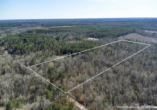 Homes for sale in De Berry, TX | Tr5 1827 Acres County Rd 3071, De Berry, TX 75639 | MLS# 21277597