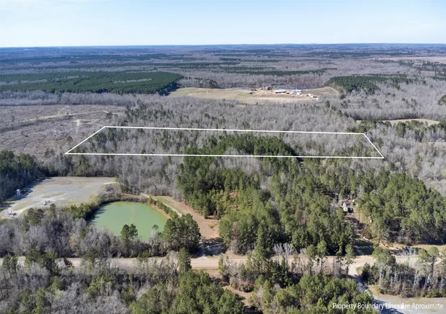 Homes for sale in De Berry, TX | Tr5 1827 Acres County Rd 3071, De Berry, TX 75639 | MLS# 21277597