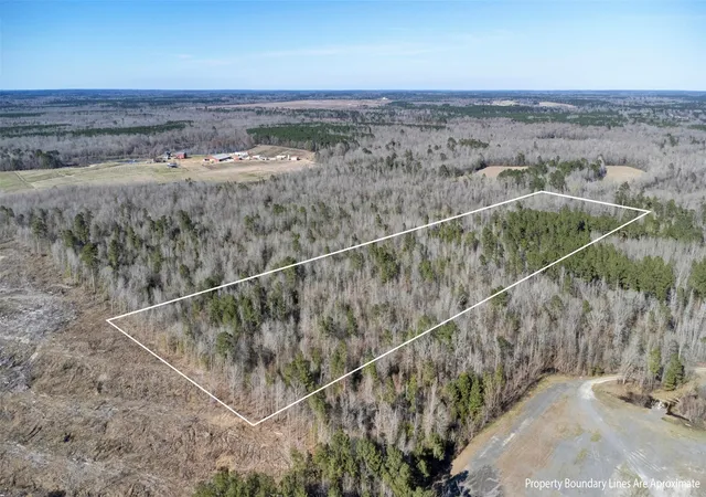 Homes for sale in De Berry, TX | Tr5 1827 Acres County Rd 3071, De Berry, TX 75639 | MLS# 21277597