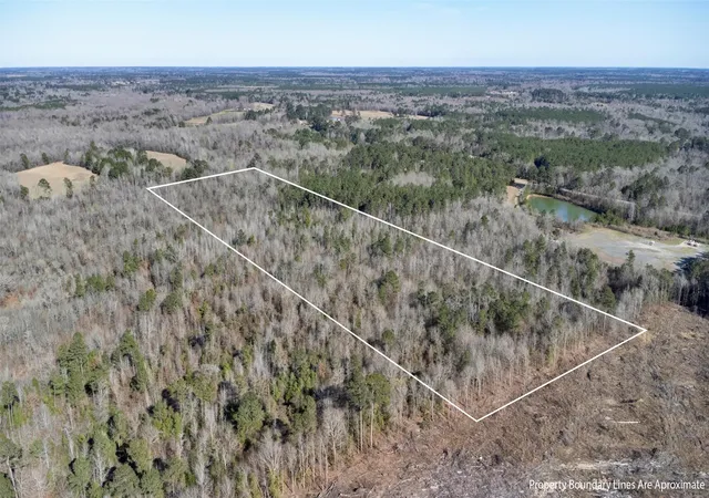 Homes for sale in De Berry, TX | Tr5 1827 Acres County Rd 3071, De Berry, TX 75639 | MLS# 21277597