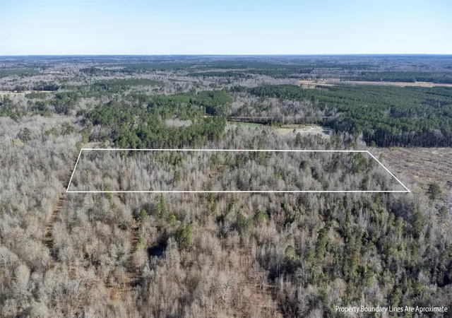 Homes for sale in De Berry, TX | Tr5 1827 Acres County Rd 3071, De Berry, TX 75639 | MLS# 21277597