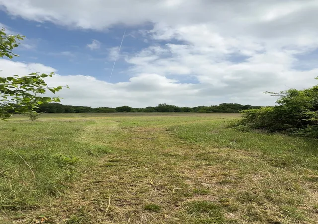 Photo 4 of Land for sale at N/A Private Road, Milford, TX 76670 | MLS# 21280478 | Listing updated on 2026-08-31