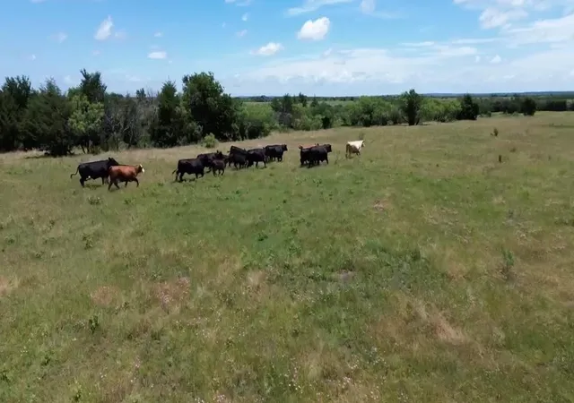 Photo 1 of Land for sale at 105 Acres O'hanlon Rd, Whitesboro, TX 76273 | MLS# 21246538 | Listing updated on 2026-07-22