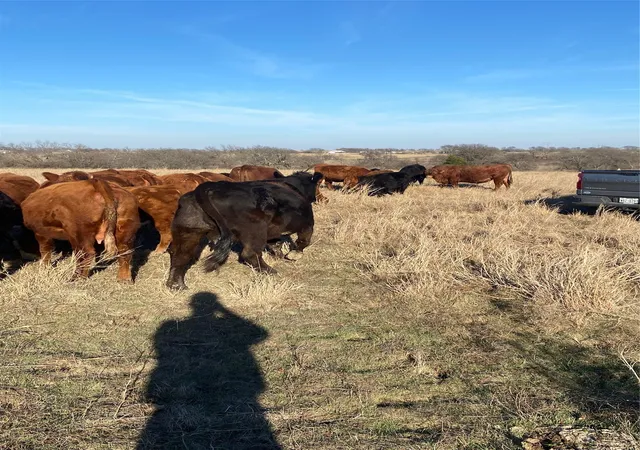 Photo 3 of Land for sale at 105 Acres O'hanlon Rd, Whitesboro, TX 76273 | MLS# 21246538 | Listing updated on 2026-07-22