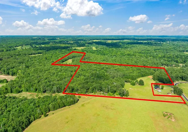 Homes for sale in Sumner, TX | 958 County Road 37000, Sumner, TX 75486 | MLS# 21281176