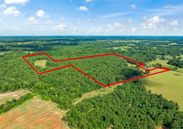 Homes for sale in Sumner, TX | 958 County Road 37000, Sumner, TX 75486 | MLS# 21281176