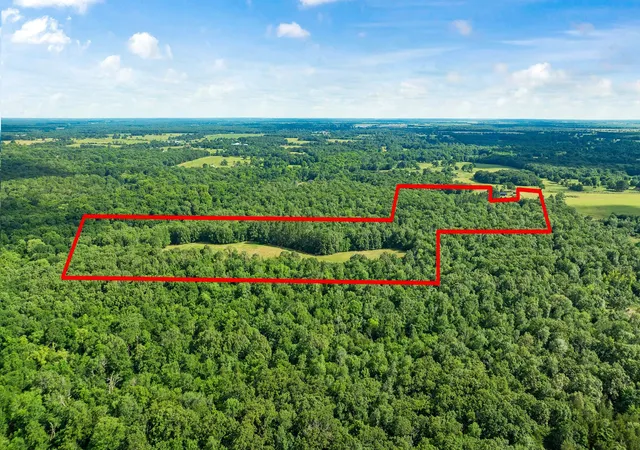 Homes for sale in Sumner, TX | 958 County Road 37000, Sumner, TX 75486 | MLS# 21281176