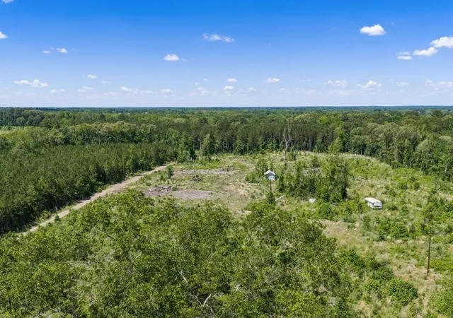 Homes for sale in Gilmer, TX | Tbd Mule Deer Rd, Gilmer, TX 75644 | MLS# 21281338