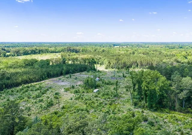 Homes for sale in Gilmer, TX | Tbd Mule Deer Rd, Gilmer, TX 75644 | MLS# 21281338