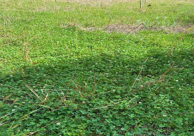 Photo 2 of Land for sale at 000 Bee Creek Rd, Grandview, TX 76050 | MLS# 21281354 | Listing updated on 2026-08-22