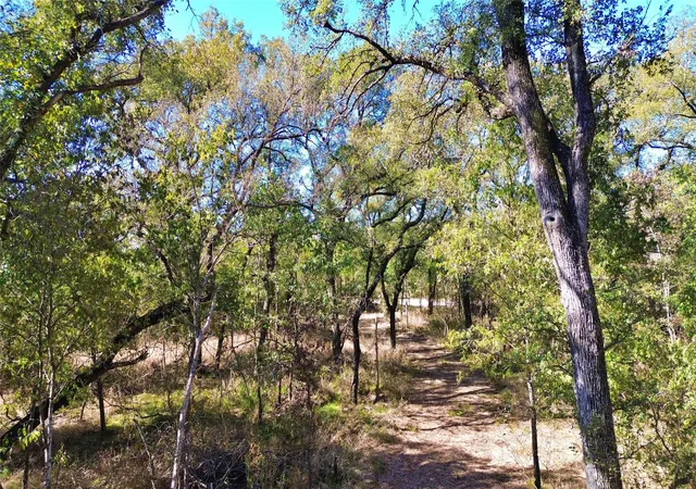 Photo 3 of Land for sale at 000 Bee Creek Rd, Grandview, TX 76050 | MLS# 21281354 | Listing updated on 2026-08-22
