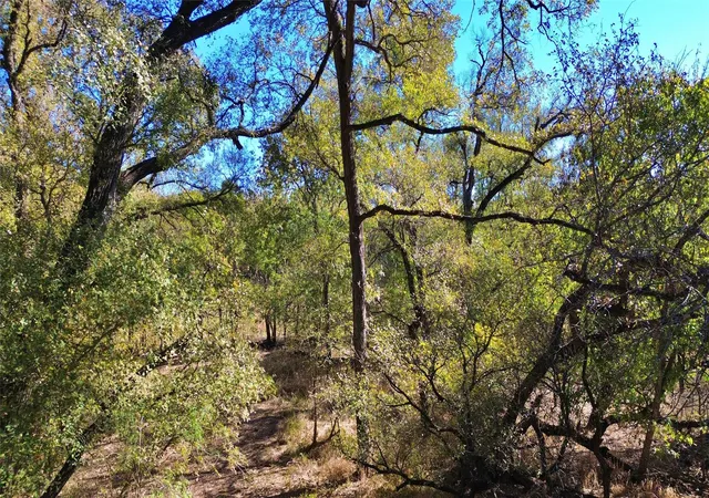 Photo 3 of Land for sale at 000 Bee Creek Rd, Grandview, TX 76050 | MLS# 21281354 | Listing updated on 2026-08-22