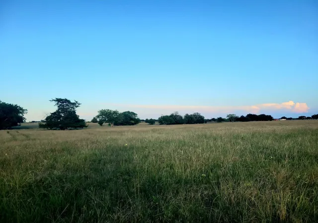 Photo 3 of Land for sale at Tbd County Road 4720, Wolfe City, TX 75496 | MLS# 21281218 | Listing updated on 2026-07-06