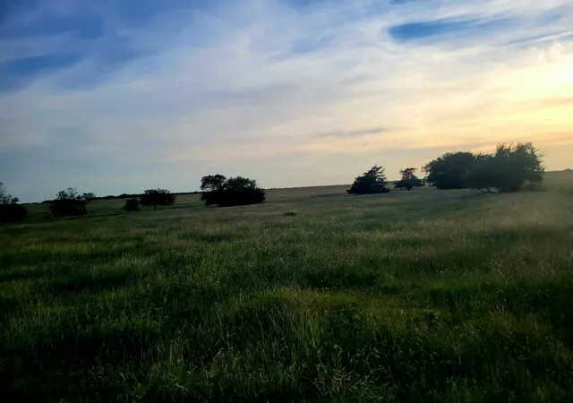 Photo 4 of Land for sale at Tbd County Road 4720, Wolfe City, TX 75496 | MLS# 21281218 | Listing updated on 2026-07-06