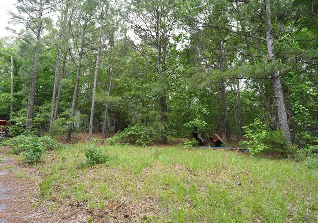 Photo 4 of Land for sale at 4754 Fm 1254, Mineola, TX 75773 | MLS# 21281384 | Listing updated on 2026-08-27