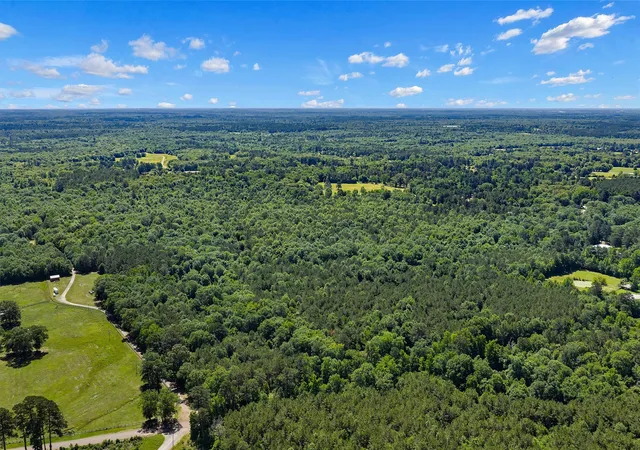 Homes for sale in De Berry, TX | Tbd County Road 3361, De Berry, TX 75639 | MLS# 21251784