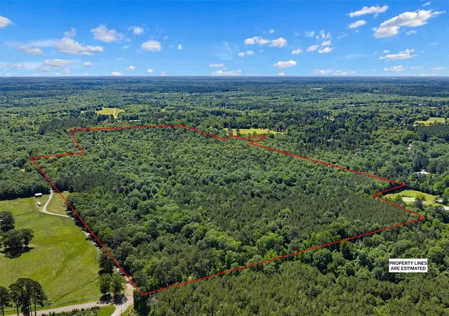 Homes for sale in De Berry, TX | Tbd County Road 3361, De Berry, TX 75639 | MLS# 21251784