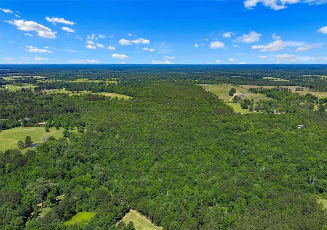 Homes for sale in De Berry, TX | Tbd County Road 3361, De Berry, TX 75639 | MLS# 21251784