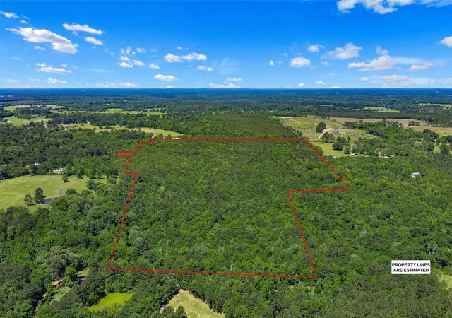 Homes for sale in De Berry, TX | Tbd County Road 3361, De Berry, TX 75639 | MLS# 21251784