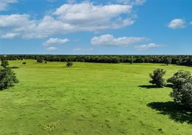 Homes for sale in Dike, TX | Tbd County Road 3560, Dike, TX 75437 | MLS# 21269241