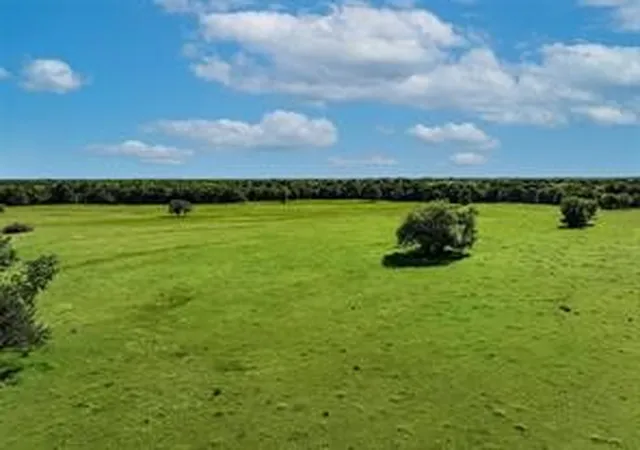Homes for sale in Dike, TX | Tbd County Road 3560, Dike, TX 75437 | MLS# 21269241