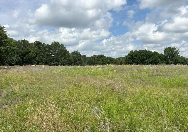 Homes for sale in Clarksville, TX | Tbd County Road 1280, Clarksville, TX 75426 | MLS# 21281953